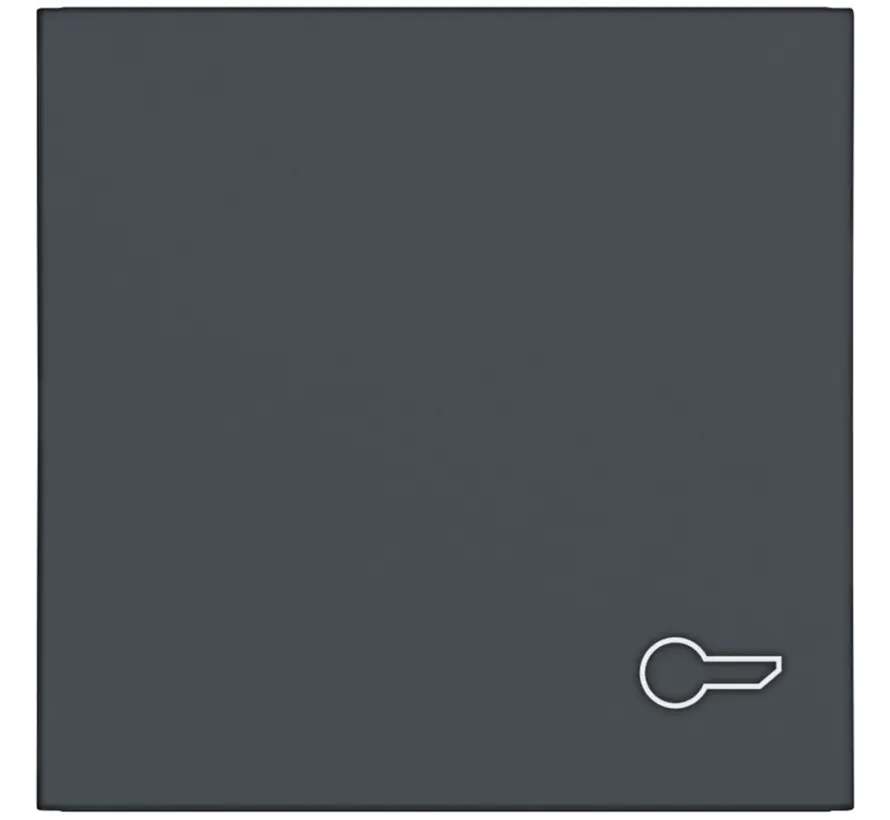 schakelwip met sleutelsymbool A1/A8/C1/C8 antraciet mat (WAW1013AT)
