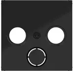 Centraalplaten
