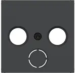 Centraalplaten