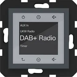 Hager Berker radio touch DAB+ A1/A8/C1/C8 antraciet mat (WAN6011AT)
