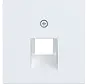 centraalplaat RJ45 wandcontactdoos 1-voudig A1/A8/C1/C8 lichtwit mat (WAF1107WM)