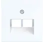 centraalplaat RJ45 wandcontactdoos 2-voudig A1/A8/C1/C8 lichtwit glans (WAF1108WG)