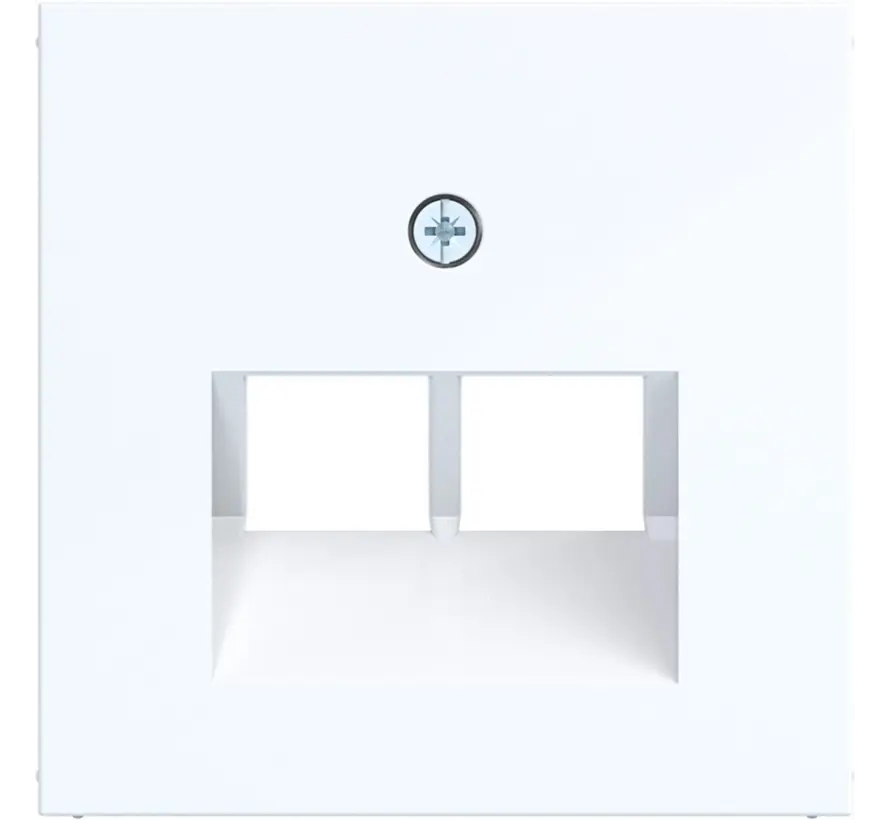 centraalplaat RJ45 wandcontactdoos 2-voudig A1/A8/C1/C8 lichtwit glans (WAF1108WG)