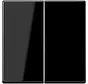 schakelwip 2-voudig A-range zwart glans (A 595 SW)