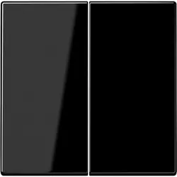 JUNG schakelwip 2-voudig LS990 zwart glans (LS 995 SW)