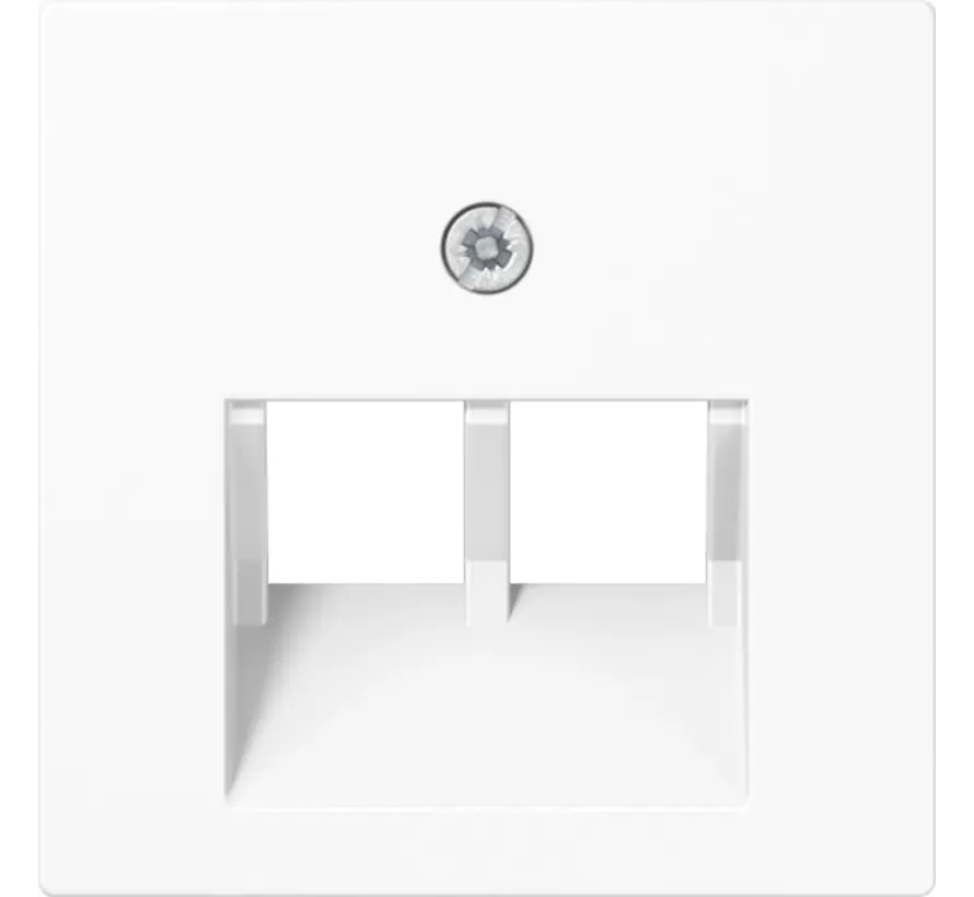 centraalplaat 2-voudig tbv RJ45 wandcontactdoos A-range alpine wit (A 569-2 BFPLUA WW)