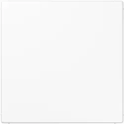 JUNG centraalplaat blinddeksel met draagring LS990 alpine wit (LS 961 B WW)