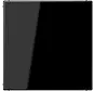 centraalplaat blinddeksel incl. draagframe LS990 zwart glans (LS 994 B SW)