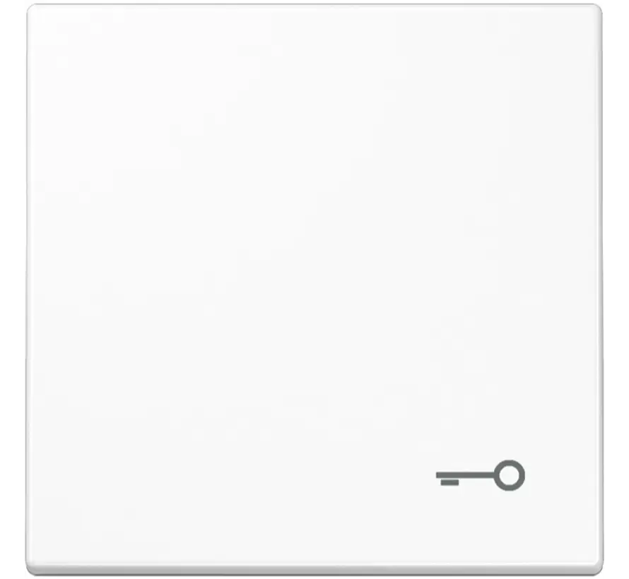 schakelwip met sleutelsymbool LS990 alpine wit (LS 990 T WW)