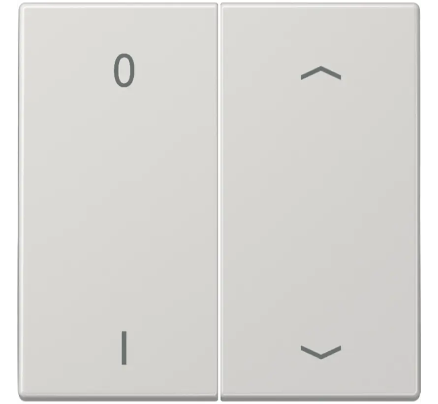EnOcean draadloze wandzender 4-kanaals met 0-1 en pijlsymbolen LS990 lichtgrijs (ENO LS 995 P01 LG)