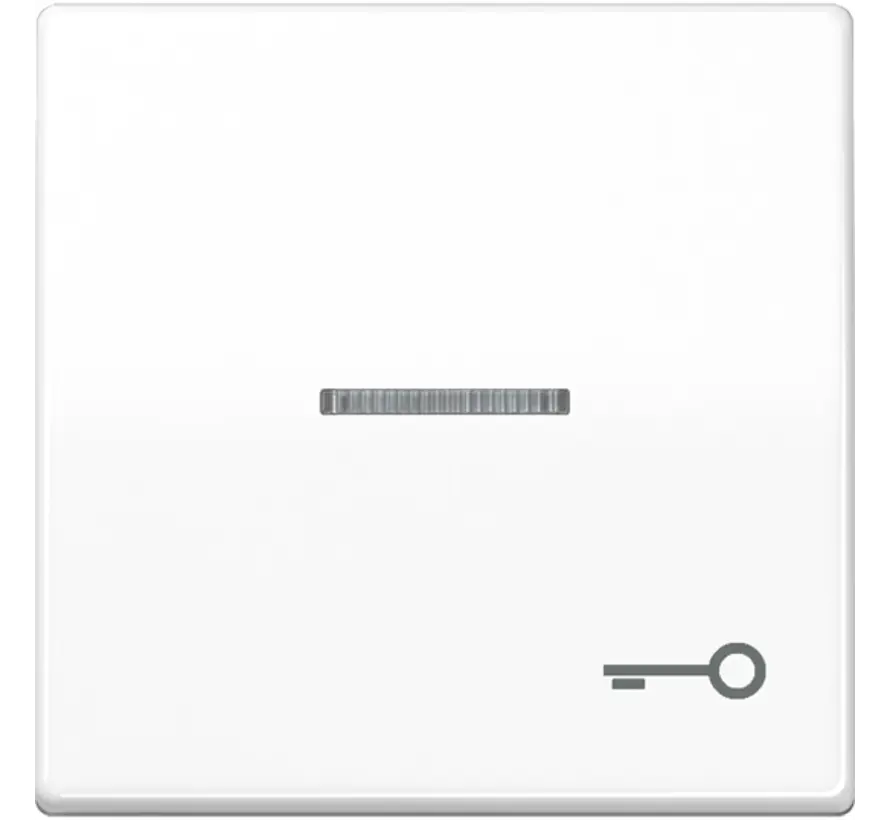schakelwip met sleutelsymbool en controlevenster alpine wit (AS 591 KO5T WW)