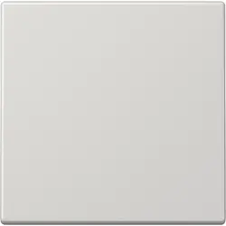 JUNG EnOcean draadloze wandzender 2-kanaals LS990 lichtgrijs (ENO LS 990 LG)