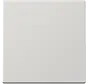 EnOcean draadloze wandzender 2-kanaals LS990 lichtgrijs (ENO LS 990 LG)