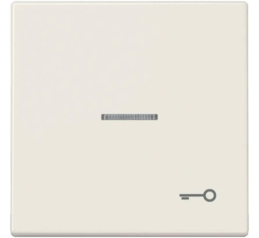 schakelwip met sleutelsymbool en controlevenster LS990 creme (LS 990 KO5 T)