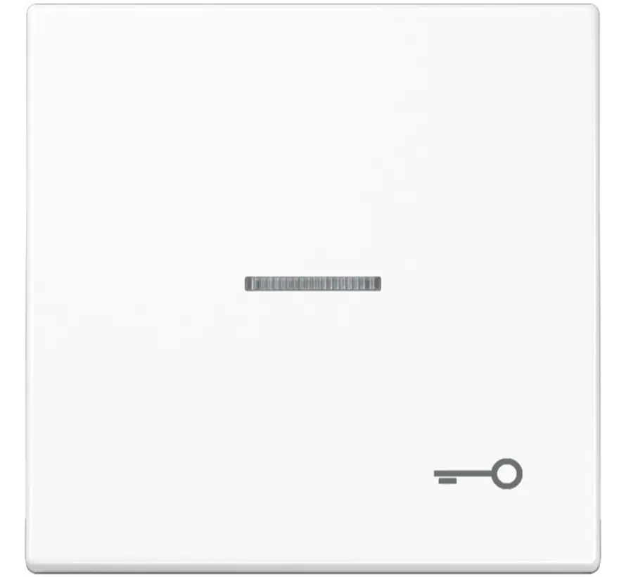 schakelwip met sleutelsymbool en controlevenster LS990 alpine wit (LS 990 KO5 T WW)