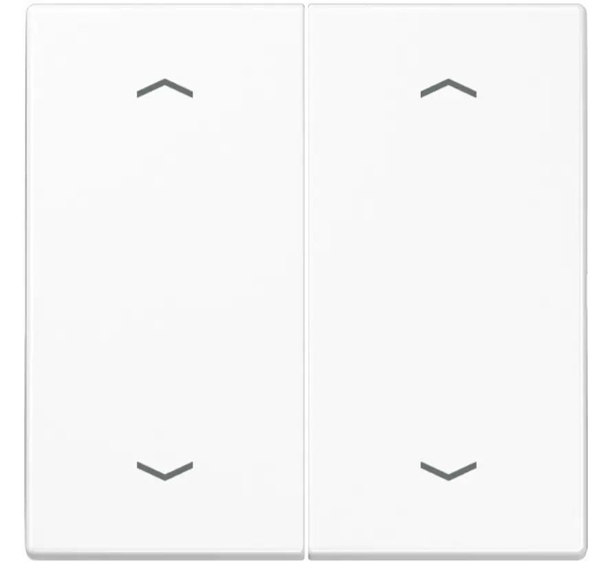 schakelwip 2-voudig met pijlsymbolen LS990 alpine wit (LS 995 MP WW)