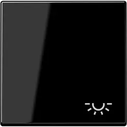 JUNG schakelwip met lichtsymbool A-range zwart glans (A 590 L SW)