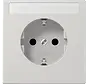 wandcontactdoos randaarde tekstvenster LS990 lichtgrijs (LS 1520 NNA LG)