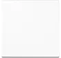 dimmerknop 1-voudig tastdimmer A-range alpine wit (A 1700 BF WW)