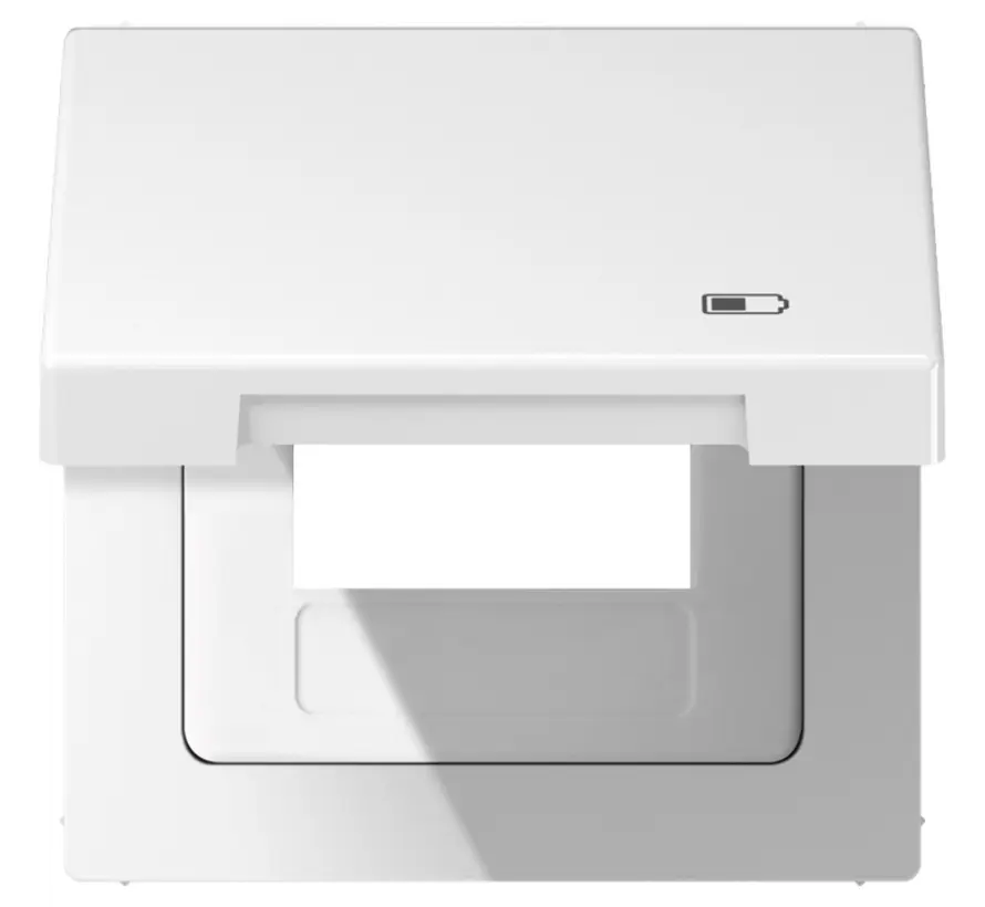 klapdeksel met USB-ladersymbool LS990 alpine wit (LS 990 BFKL USB WW)