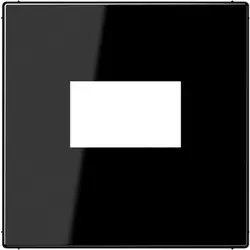 JUNG centraalplaat USB-lader met klikbevestiging LS990 zwart glans (LS 1969 USB SW)