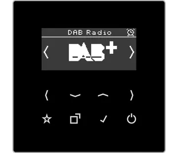 JUNG smart radio DAB+ zonder luidspreker LS990 zwart glans (DAB LS SW)