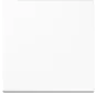 Bluetooth Low Energy radiografische wandzender 2-kanaals LS990 alpine wit (BLE LS 990 WW)