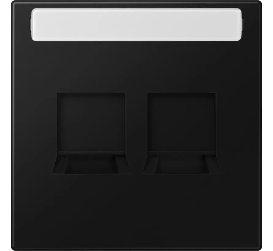 centraalplaat 2-voudig modular-jack tekstveld LS990 grafietzwart mat (LS 1969-2 NA WE SWM)