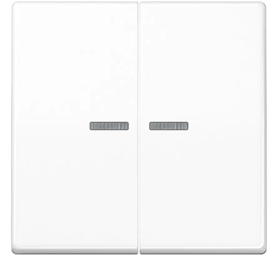 schakelwip 2-voudig met controlevenster voor HOME draadloze schakelaar AS500 alpine wit (AS 102 KO5 WW)