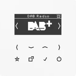 JUNG smart radio DAB+ zonder luidspreker LS990 alpine wit (DAB LS WW)