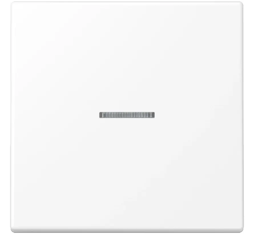 schakelwip met controlevenster voor HOME draadloze schakelaar LS990 sneeuwwit mat (LS 101 KO5 WWM)