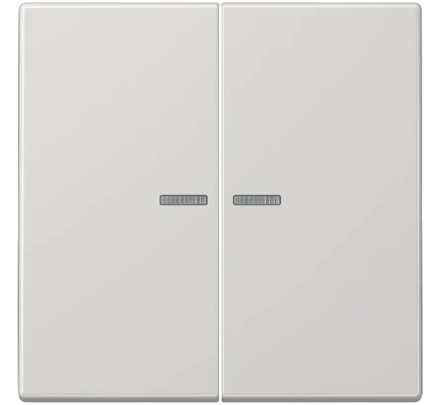 schakelwip 2-voudig met controlevenster voor HOME draadloze schakelaar LS990 lichtgrijs (LS 102 KO5 LG)