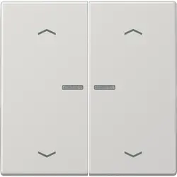 JUNG schakelwip 2-voudig met controlevenster en pijlsymbolen voor HOME draadloze schakelaar LS990 lichtgrijs (LS 102 KO5P LG)