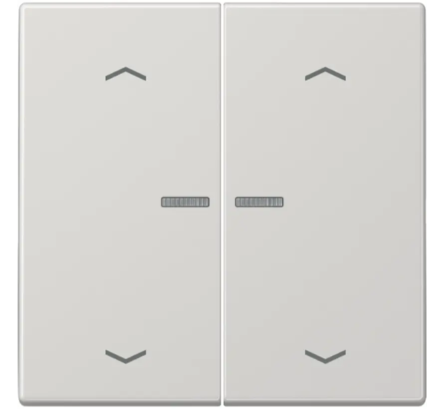 schakelwip 2-voudig met controlevenster en pijlsymbolen voor HOME draadloze schakelaar LS990 lichtgrijs (LS 102 KO5P LG)