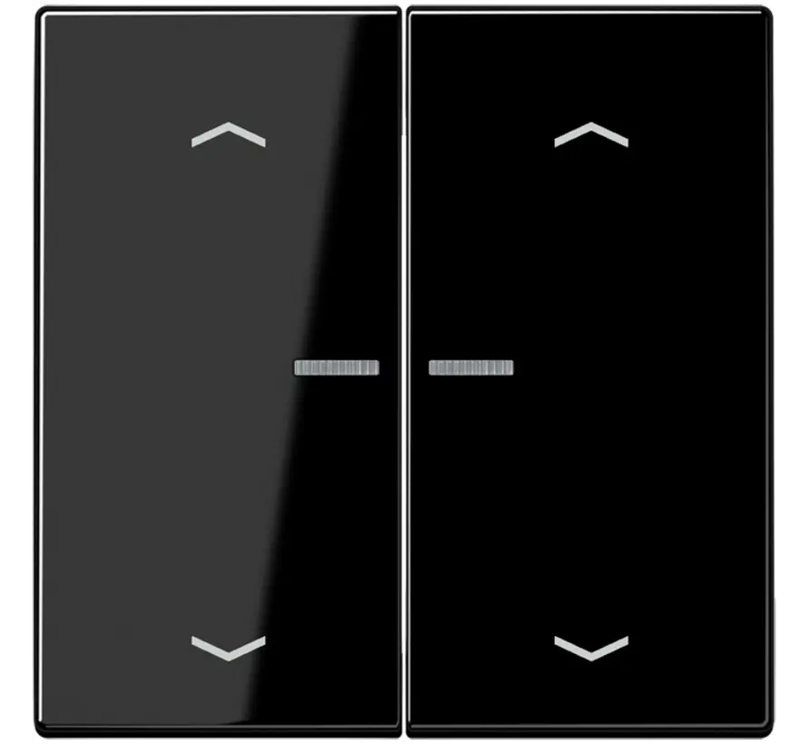 schakelwip 2-voudig met controlevenster en pijlsymbolen voor HOME draadloze schakelaar LS990 zwart glans (LS 102 KO5P SW)