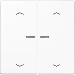 JUNG schakelwip 2-voudig met controlevenster en pijlsymbolen voor HOME draadloze schakelaar LS990 alpine wit (LS 102 KO5P WW)
