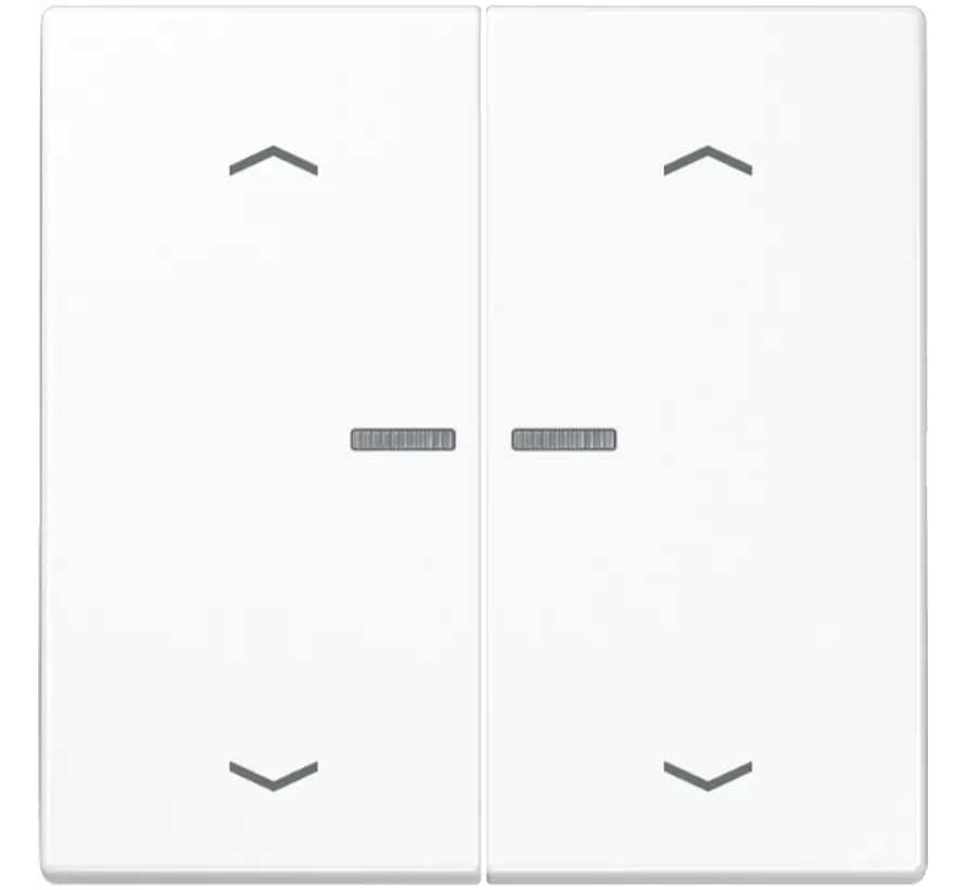 schakelwip 2-voudig met controlevenster en pijlsymbolen voor HOME draadloze schakelaar LS990 alpine wit (LS 102 KO5P WW)