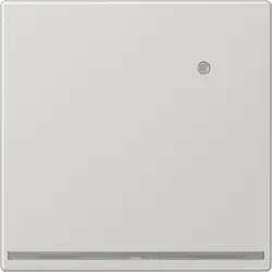 JUNG LED-orientatieverlichting met geïntegreerde lichtsensor LS990 lichtgrijs (LS 1539-O LG LNW)