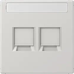 JUNG centraalplaat 2-voudig modular-jack tekstveld LS990 lichtgrijs (LS 1969-2 NA WE LG)