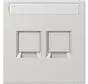 centraalplaat 2-voudig modular-jack tekstveld LS990 lichtgrijs (LS 1969-2 NA WE LG)