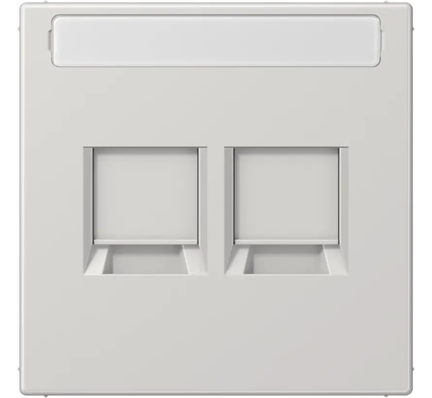 centraalplaat 2-voudig modular-jack tekstveld LS990 lichtgrijs (LS 1969-2 NA WE LG)