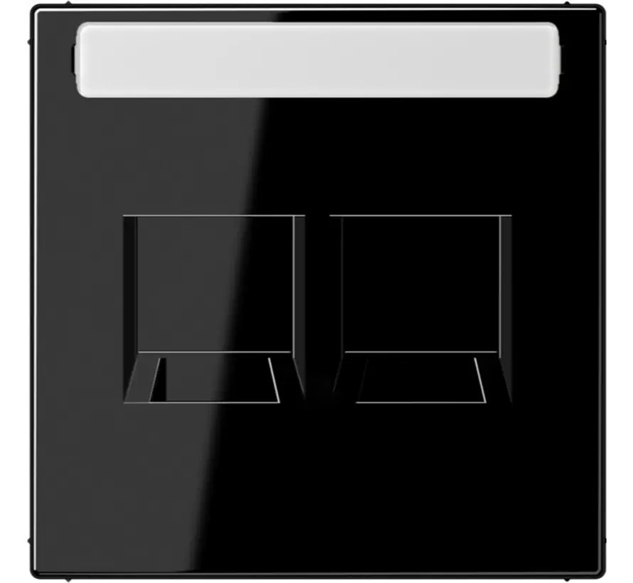 centraalplaat 2-voudig modular-jack tekstveld LS990 zwart glans (LS 1969-2 NA WE SW)