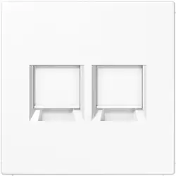 JUNG centraalplaat met draagring 2-voudig voor modulair jack LS990 alpine wit (LS 1969-2 WE WW)