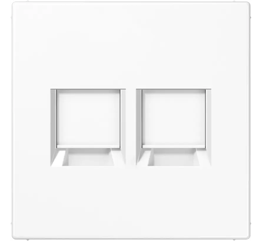 centraalplaat met draagring 2-voudig voor modulair jack LS990 alpine wit (LS 1969-2 WE WW)