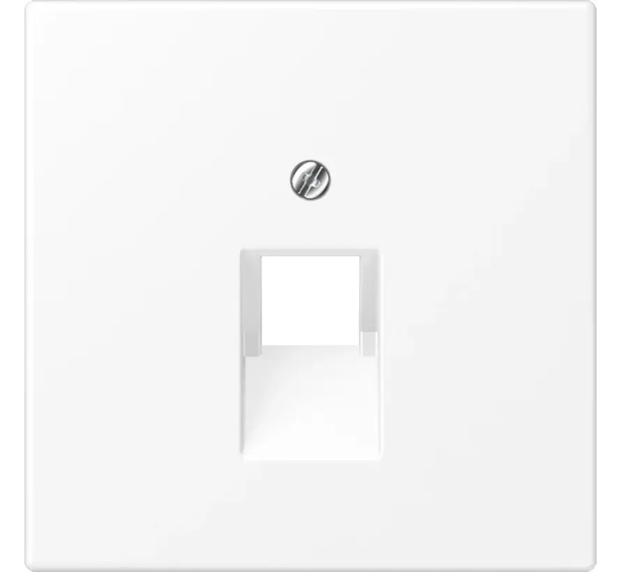 centraalplaat 1-voudig tbv RJ45 wandcontactdoos LS990 sneeuwwit mat (LS 969-1 UA WWM)