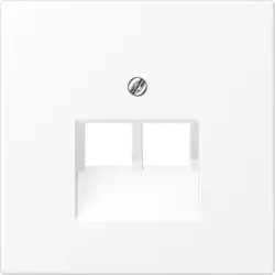 JUNG centraalplaat 2-voudig tbv RJ45 wandcontactdoos LS990 sneeuwwit mat (LS 969-2 UA WWM)