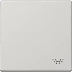 JUNG schakelwip met lichtsymbool LS990 lichtgrijs (LS 990 L LG)