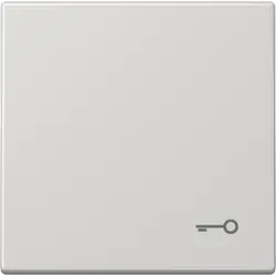 JUNG schakelwip met sleutelsymbool LS990 lichtgrijs (LS 990 T LG)