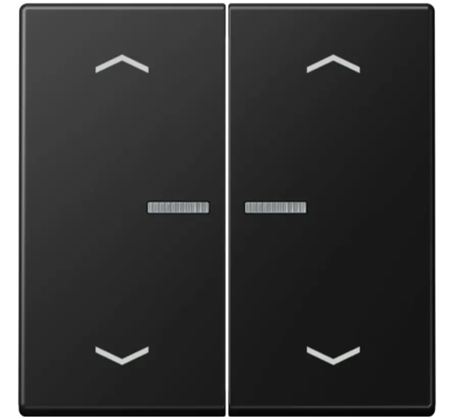 schakelwip 2-voudig met controlevenster en pijlsymbolen voor HOME draadloze schakelaar A-range grafietzwart mat (A 102 KO5P BF SWM)