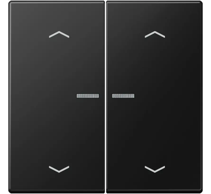schakelwip 2-voudig met controlevenster en pijlsymbolen voor HOME draadloze schakelaar LS990 grafietzwart mat (LS 102 KO5P SWM)